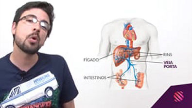 Principais doenças causadas por vermes - Mundo Biologia - ENEM