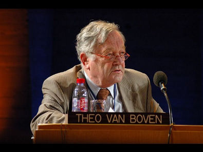 Princípios de Van Boven: a luta pelos direitos humanos