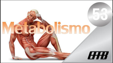 Vídeo Aula-53-#Aspectos biológicos básicos da Ed Física (Anabolismo e Catabolismo)