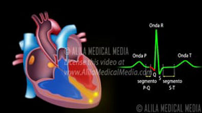 Sistema-de-Condução-do-Coração-e-ECG-Animação-Alila-Medical-Media-Português - 10Convert com