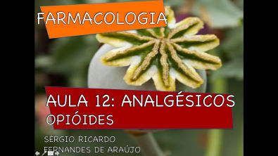 Curso de Farmacologia: Aula 12 - Analgésicos opióides - Vias nociceptivas
