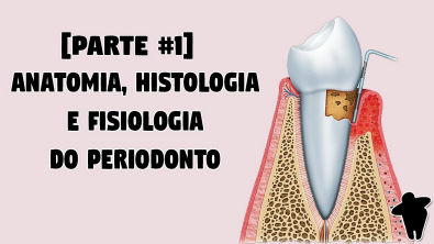 Anatomia, Histologia e Fisiologia do Periodonto- Canal Arriba Dentista bastante didático
