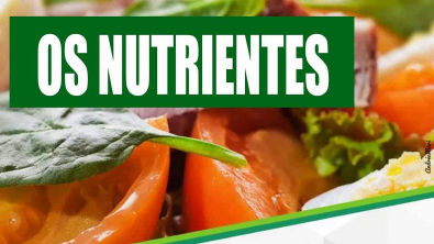 Nutrientes o que são, tipos, funções e exemplos