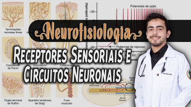 Fisiologia - Receptores Sensoriais e Circuitos Neuronais (Capítulo 47/46) PARTE 1/2 GUYTON