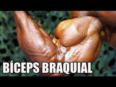 Origem, inserção e ação do músculo BÍCEPS BRAQUIAL - Rogério Gozzi