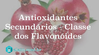 Antioxidantes Secundários - Classe dos Flavonóides