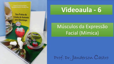 Videoaula -6 Musculos da Expressão Facial