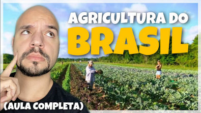 Agricultura do Brasil: Produções agrícolas regionais (AULA COMPLETA) | Ricardo Marcílio