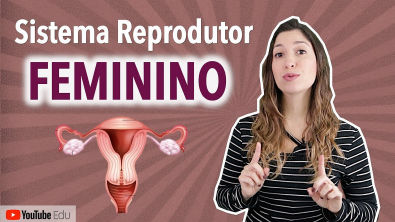 Sistema Reprodutor Feminino | Anatomia etc