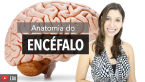 material thumbnail image