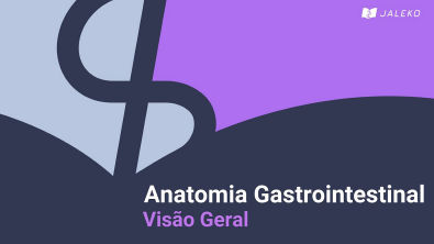 Anatomia gastrointestinal - Visão geral
