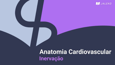 Anatomia cardíaca - Inervação