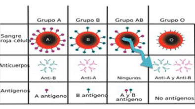 Aula Grupos sanguineos - Sistema ABO e RH