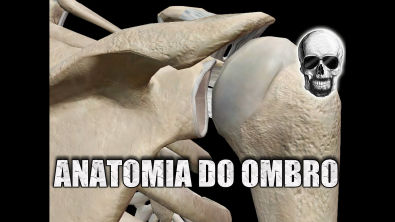 ANATOMIA do OMBRO e SÍNDROME DO IMPACTO | Anatomia Humana