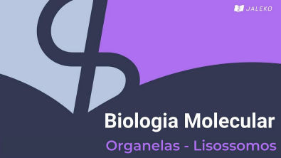 Biologia Molecular: Organelas - Lisossomos