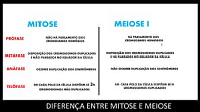 Diferença entre Mitose e Meiose