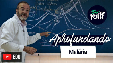 Enem Aprofundando | Malária