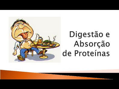 Digestão de proteinas Anabolismo catabolismo
