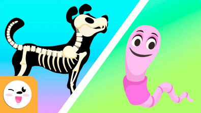 Animais vertebrados e invertebrados para crianças - Vídeos educativos para crianças