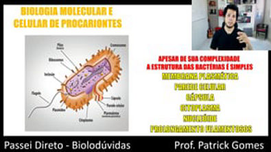 Bactérias: Característica e Reprodução - AULA ENEM