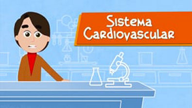 Sistema Cardiovascular - a parceria entre pulmões e coração 480 x 854