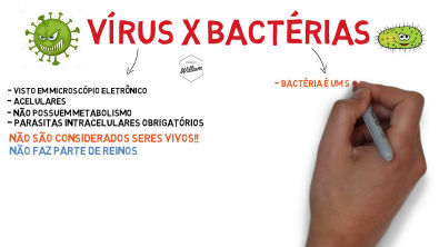 As diferenças mais básicas entre vírus e bactérias