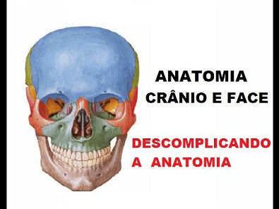 Vídeo Aula 05 - Anatomia - Ossos do crânio e face