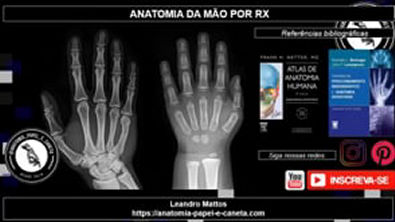 Anatomia radiológica (RX) dos MEMBROS SUPERIORES ((360P)