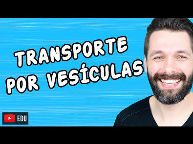 ENDOCITOSE (FAGOCITOSE E PINOCITOSE) E EXOCITOSE - Transporte por vesículas | Biologia com Samuel