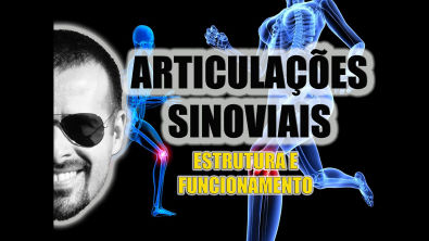 Sistema Articular: Estrutura e funcionamento das articulações Sinoviais - Anatomia - VideoAula 038