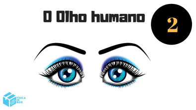 Aula 02 - Aprenda sobre a física do olho humano - Defeitos da visão - Miopia