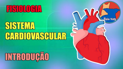 Sistema cardiovascular - Introdução - Fisiologia veterinária - Aula 1