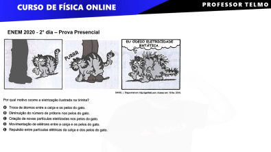 ENEM 2020 - Por qual motivo ocorre a eletrização ilustrada na tirinha ...