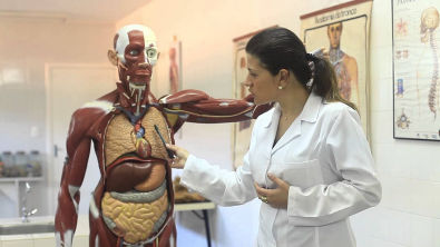 [ART] Anatomia e Fisiologia Humana - Sistemas Respiratório e Cardiovascular