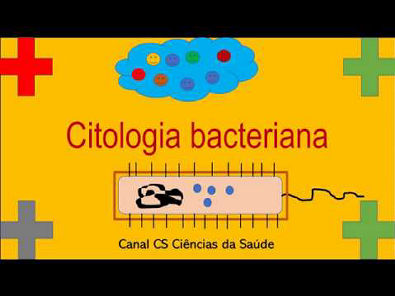 Microbiologia Médica: Citologia Bacteriana - Parte 2
