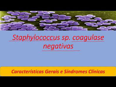 Microbiologia Médica - Staphylococcus sp Coagulase Negativas Parte 2