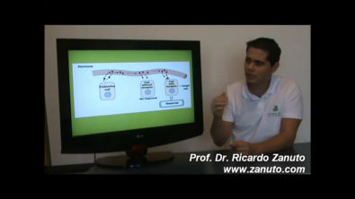 Sinalização Celular - Autocrino, Paracrino, Endocrino - Prof Dr Ricardo Zanuto