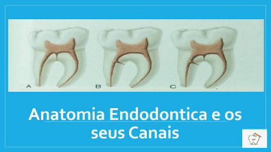 Anatomia Endodontica e Sistema de Canais Radiculares