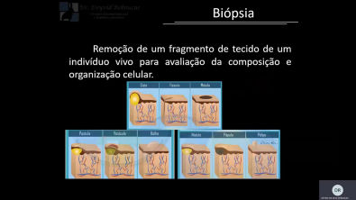 Aula de Biópsias do sistema estomatognático