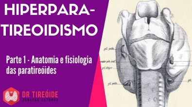 Hiperparatireoidismo parte 1 - Anatomia e fisiologia das paratireóides
