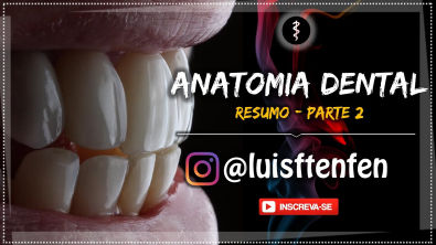 Anatomia Dental (RESUMO) - Parte 2