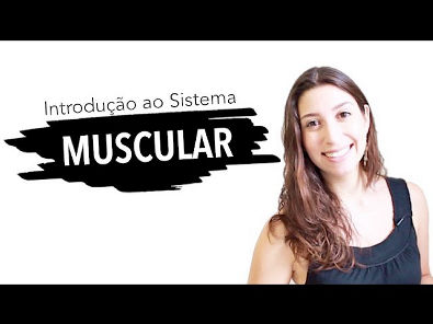 Sistema Muscular 1/6: Introdução | Anatomia e etc