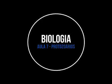 BIOLOGIA - Protoctista: protozoários