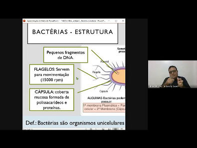 BIOLOGIA - Bactéria e Archaea