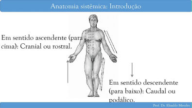aula 1 anatomia sistêmica: Introdução