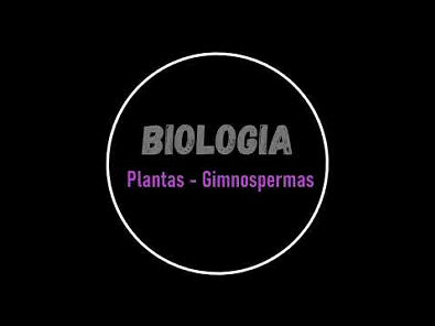 Plantas - Gimnospermas