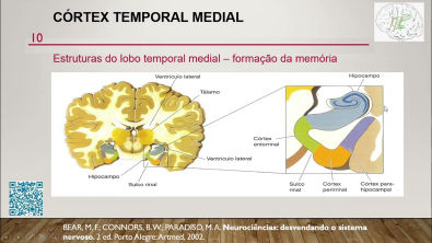 Memória V: Neuroanatomia da Memória Declarativa ou Explícita (KANDEL; MESULAM)