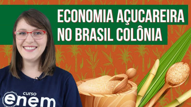 A ECONOMIA AÇUCAREIRA NO BRASIL COLÔNIA | Resumo de História para o Enem