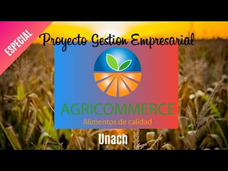Gestion Empresarial Proyecto Agricommerce