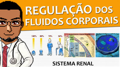 Sistema Excretor / Renal / Urinário 04 - Regulação dos fluidos corporais (fisiologia)